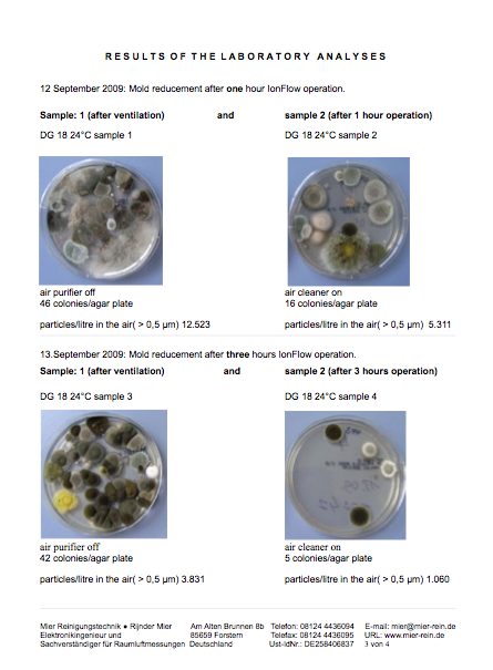 Mold Report
